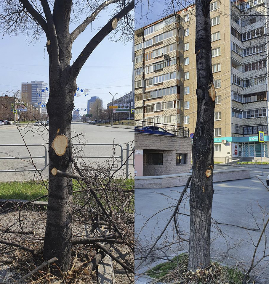 Фото: Елена Вахтина