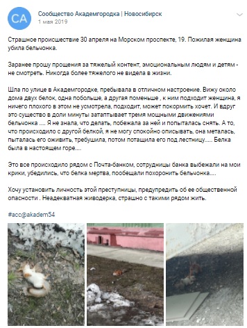 Фото: скриншот vk.com/akadem54