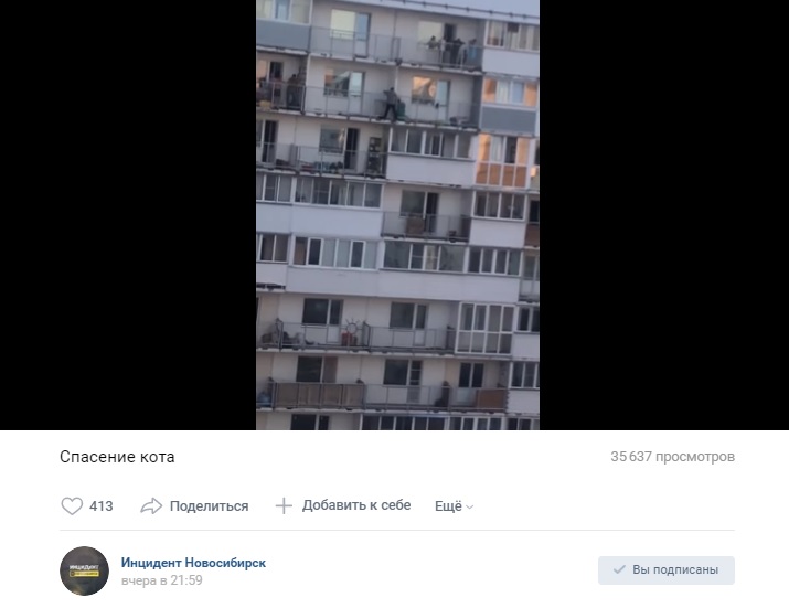 Фото: скриншот видео vk.com/incident_nsk