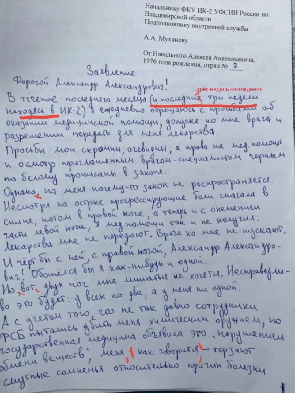 Навальный снова нарушил правила. Учитель русского языка показала каждую  ошибку