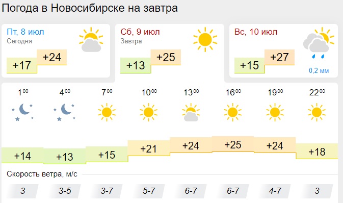 Погода новосибирске в июле 2024 года гисметео. Осадки Новосибирск.