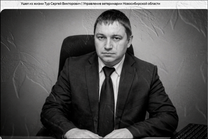 Забой скота в Новосибирской области: Расследование только началось, а уже есть смерти