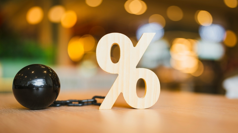 Делягин рассказал о казусе с депутатом, успокоив ИП