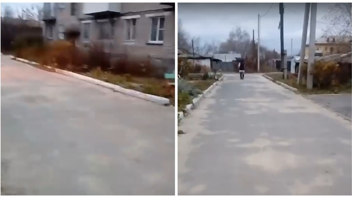 Медведь кричит. Прикольные картинки с подписями. Позанимался убери за собой. Смешные картинки с подписями. Убирайте за собоймуоср.