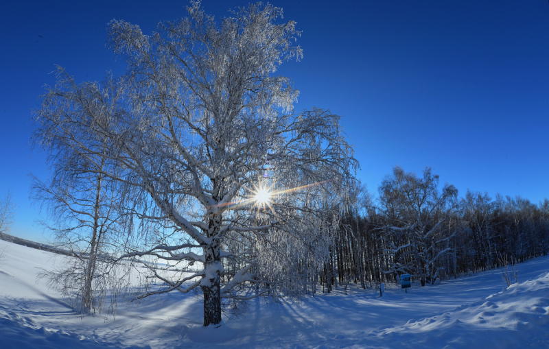 Весна в феврале? Как бы не так. Заслуженный метеоролог сказал прямо, чего ждать: "Не просто холодно, очень холодно!"