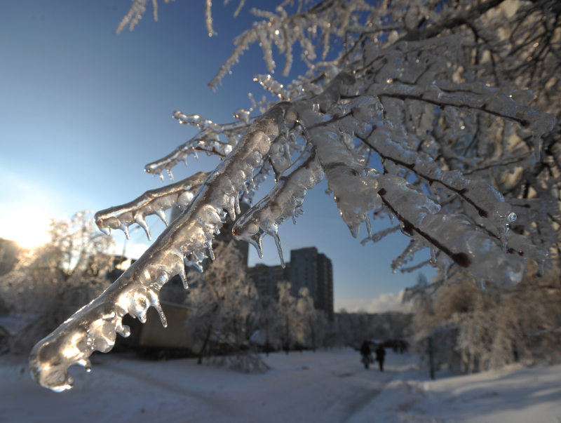 Зима тает. Этот год не исключение. Снег на Новый год - это фантастика?