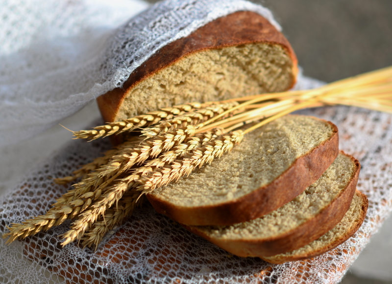 Как много смысла в этих словах американца: "Я в России, как собака"