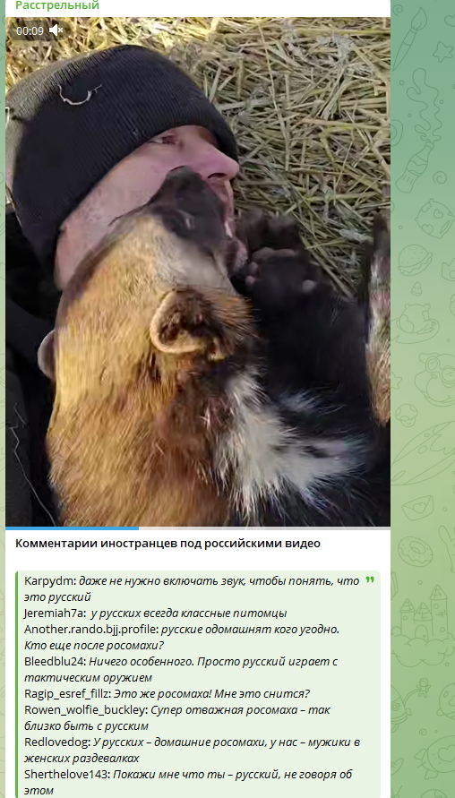 "Зачем рычишь?": Русский выложил видео с домашним зверем в Сеть. Иностранцы в шоке – "Мне это снится?"
