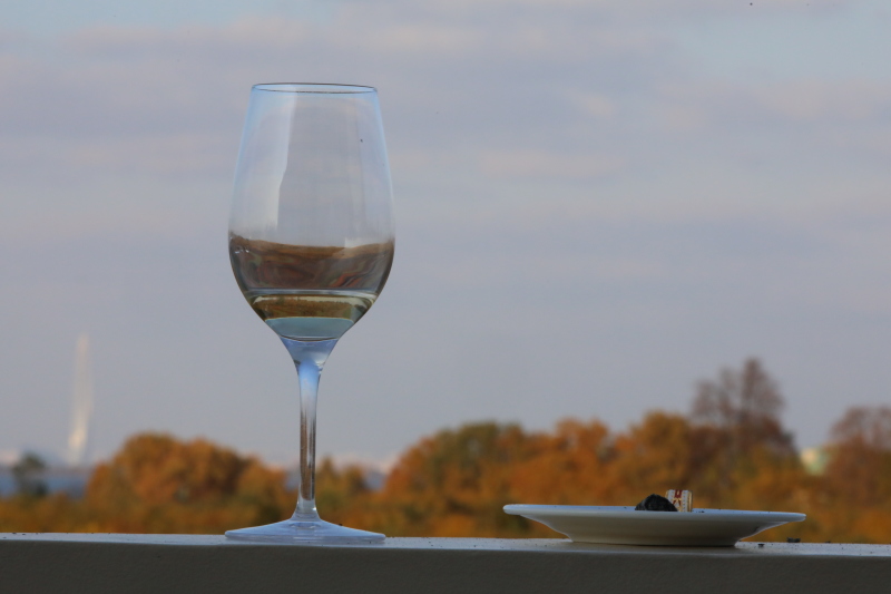 "Жадность заслонила всё": Зрители ушли с шоу Макаревича* в Израиле