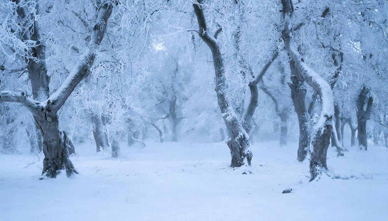 Пора утепляться! На смену снегопадам идут сильные морозы. Москве, Петербургу и другим городам выдано предупреждение