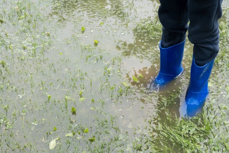 Потеплеет до +7, появится солнце, а сугробы начнут быстро таять: Синоптики назвали Москве долгожданную дату