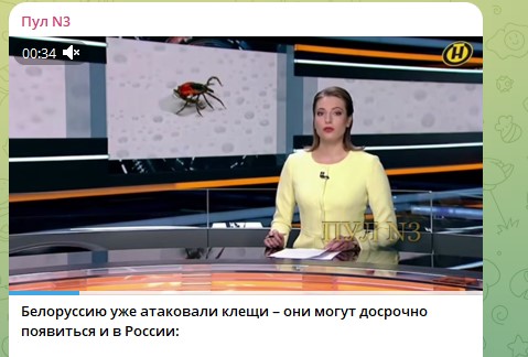 Потеплеет до +7, появится солнце, а сугробы начнут быстро таять: Синоптики назвали Москве долгожданную дату