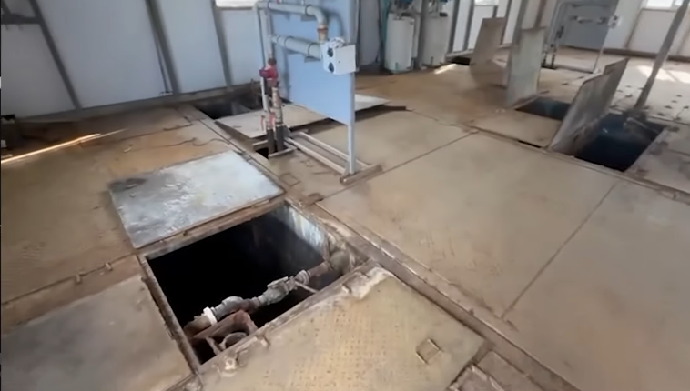 "На каждую хитрую ж.. ну вы поняли": Что депутат Рябцева имела в виду?