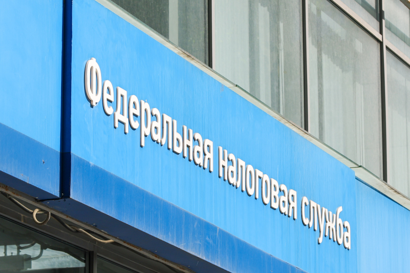 Успеть до 1 декабря. Какие налоги следует заплатить и в какой сумме