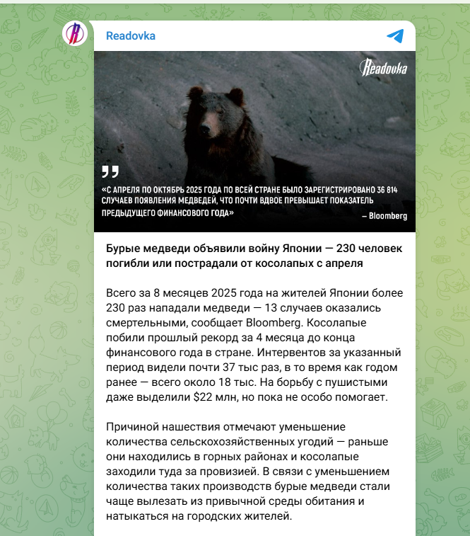 Японцы вышли на тропу войны с медведем: 217 раненых, 13 убитых и "ни дня без новостей о нападении"