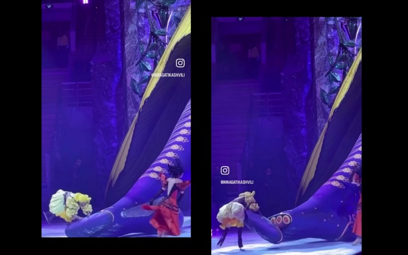 На шоу Навки отрезали ногу. Мужчин переодели в женщин. Дети плакали. Что это было?