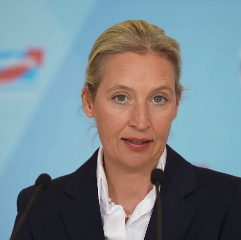 Хитрый способ борьбы с оппозицией: Берлин "прикроется" детьми. Пронзительный взгляд Вайдель сказал больше слов