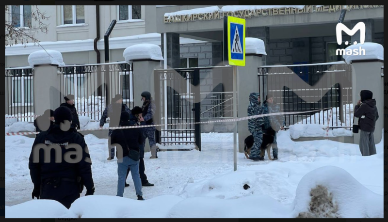 Подросток, устроивший бойню в общежитии, оказался сторонником запрещённой организации
