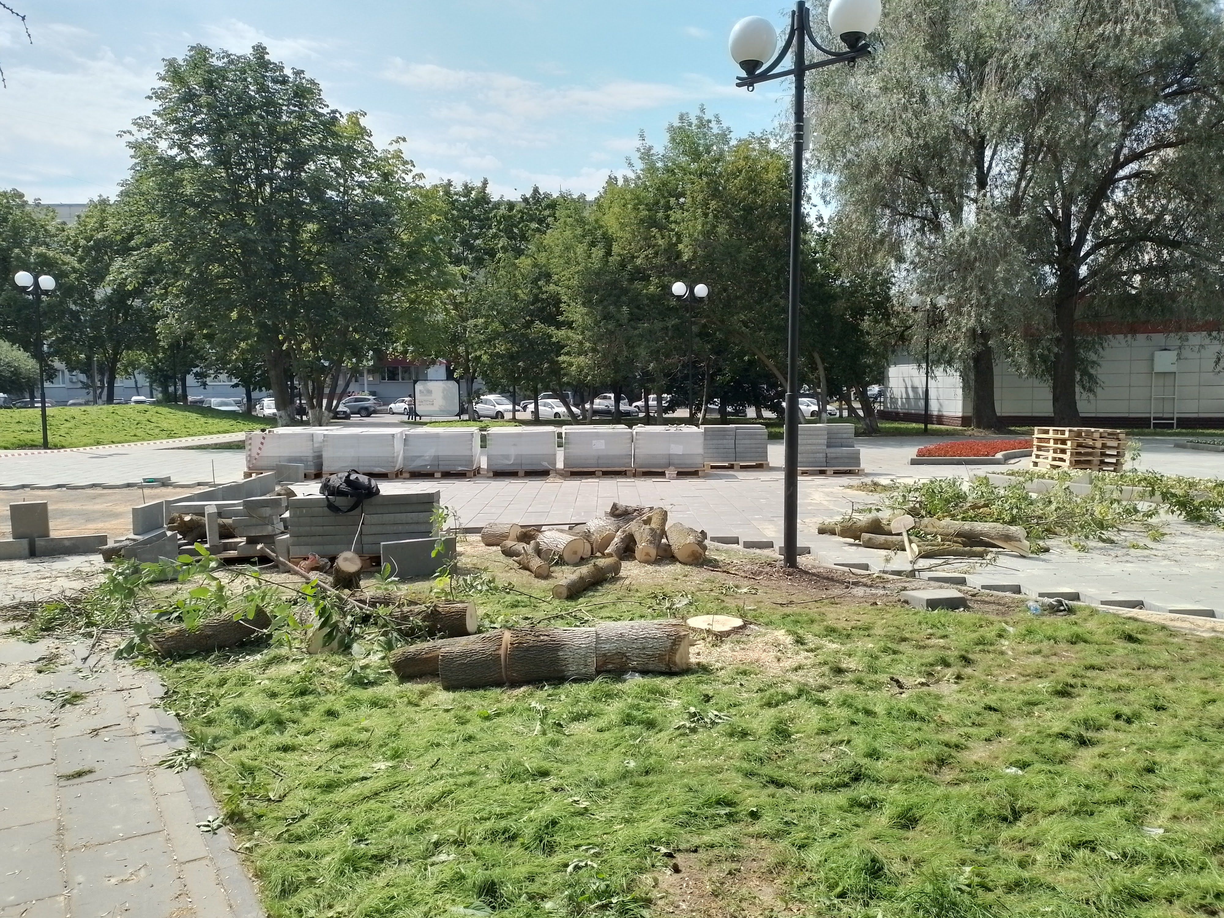 В сквере на проспекте Ленина во Владимире под конец благоустройства  все-таки вырубили деревья