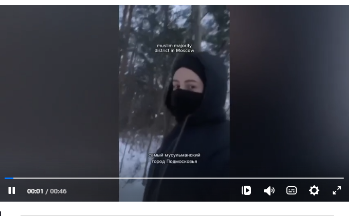 "Всё халяль!": Дама в никабе с восторгом позвала иноземцев жить в Россию