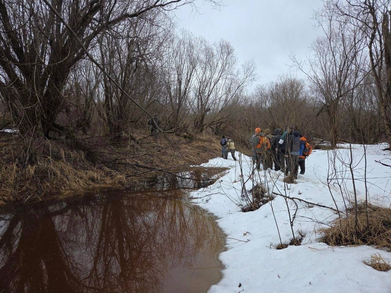 В Архангельской области 10 дней ищут 15-летнюю школьницу. Бастрыкин контролирует ситуацию