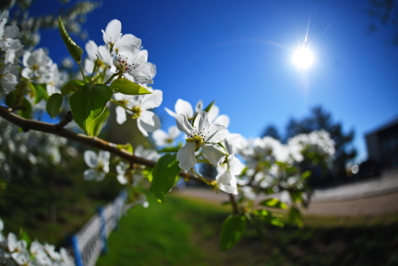 Лето наступит уже в мае: Климатолог Клименко предупредил о погодных "реалиях" в 2026 году