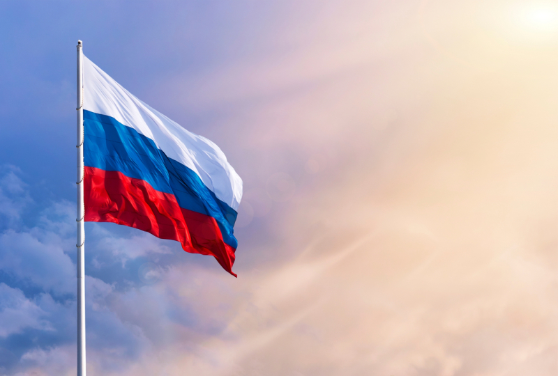 В России снизят возраст принесения присяги при приёме в гражданство: Зачем это нужно?