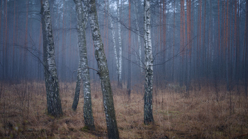 Американский след в деле Усольцевых: Я готов задать 10 вопросов
