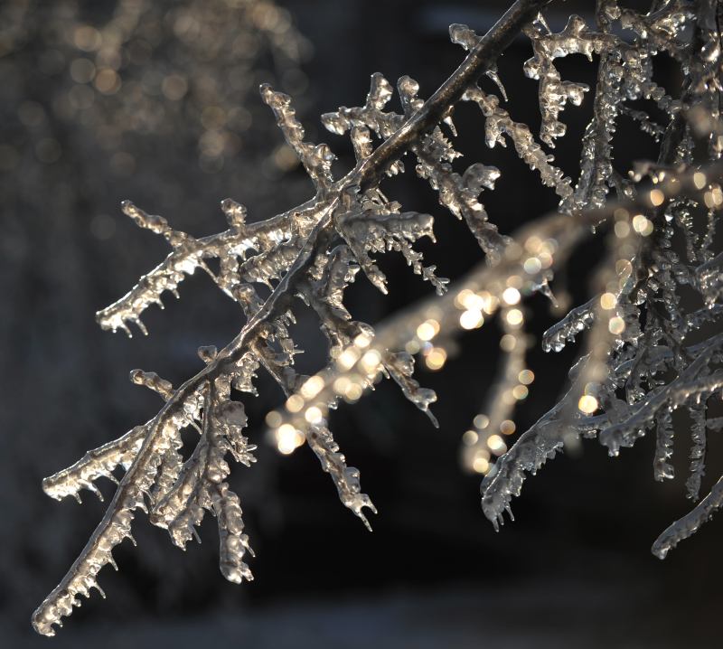 Чем России грозит зима без снега? Риски уже крайне высоки