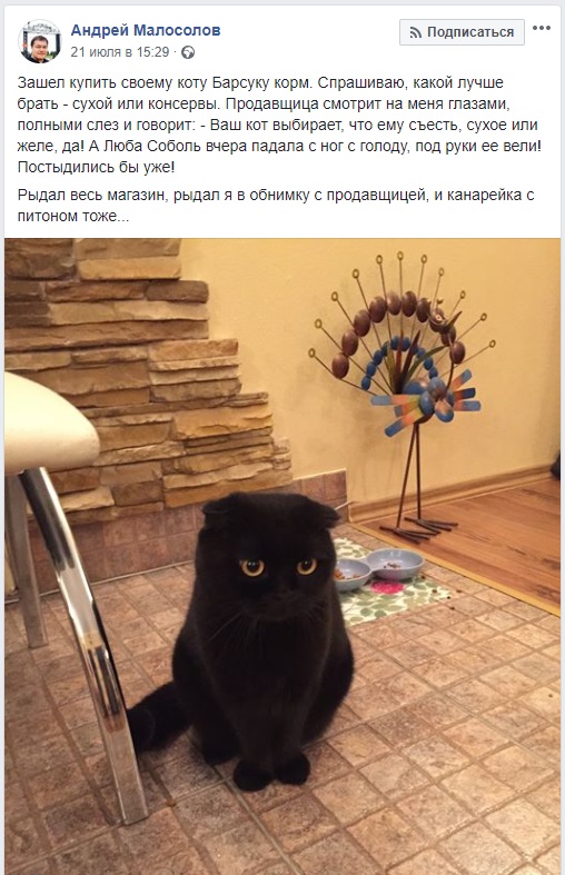 Кот зашел в дом примета