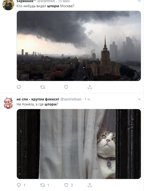 Фото: @sanmelisan