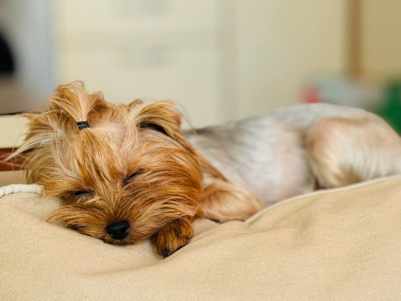 У "лучшей женщины Путина" в Германии отобрали всё. Она приехала в Россию и рассказала правду