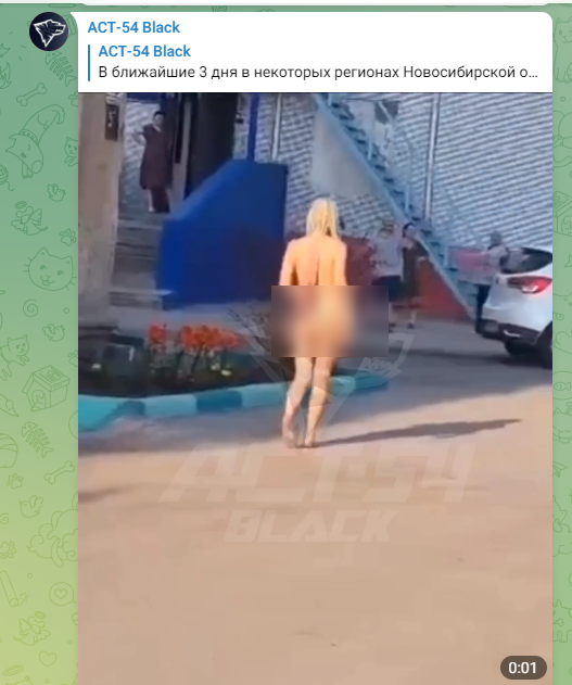 По улицам Новосибирска прошлась голая женщина с сумкой | ОБЩЕСТВО | АиФ Новосибирск