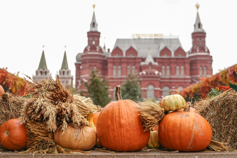 Глава Минсельхоза Лут назвала Россию аграрной страной с высоким экспортным потенциалом. Всё ли так радужно?
