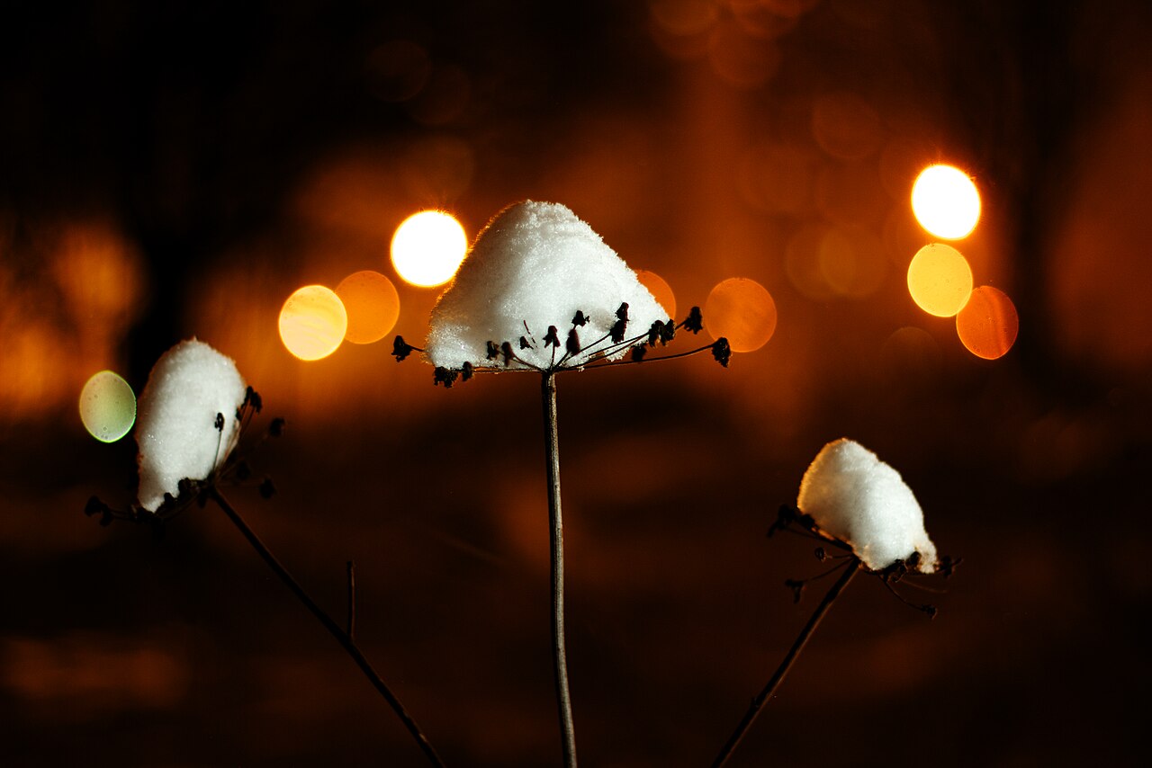 Арктический шторм накроет регионы России: До рекордного похолодания остались считанные часы. Такого не было 150 лет!