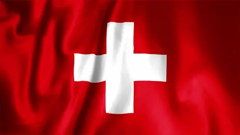 Владеешь Porsche – отдай выплаты: В Швейцарии украинский беженец должен вернуть 84 тыс.долларов государству