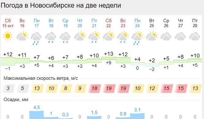 Погода в новосибирске октябрьский в районе