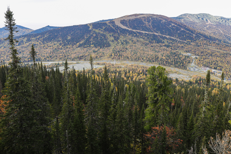 В лесах, где пропала семья Усольцевых нашли девочку: Спасатели рассказали детали