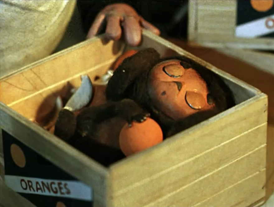 Еврей, марокканец или жгучий латинос? Нешуточные споры о происхождении Чебурашки: Генконсул Израиля предложил два способа проверить национальность "ушастика"