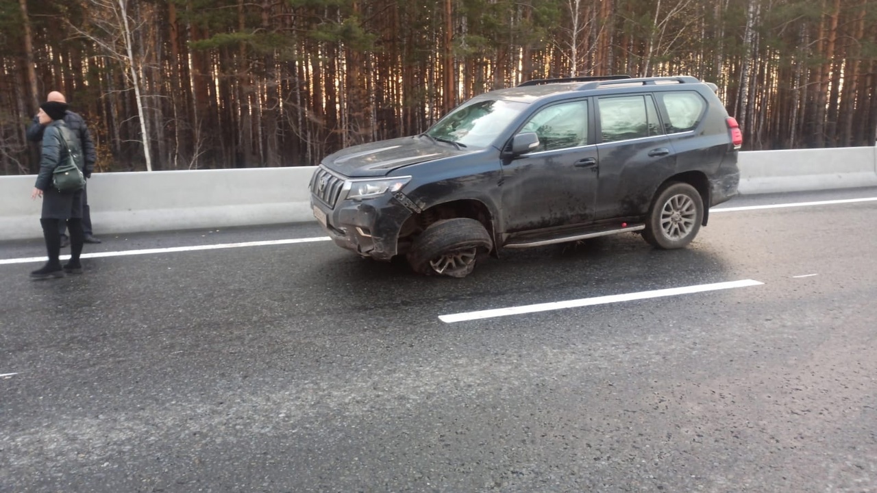 На М5 в Челябинской области лось устроил тройное ДТП с перевернувшимися