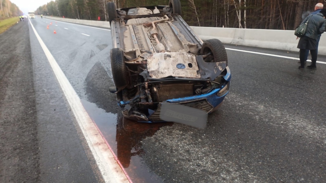 На М5 в Челябинской области лось устроил тройное ДТП с перевернувшимися