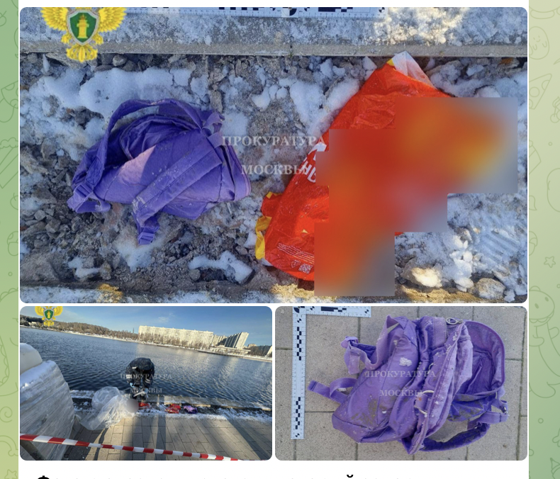 Тело ребёнка без головы найдено в Балашихе: Под подозрением отчим-наркоман. Что известно о матери