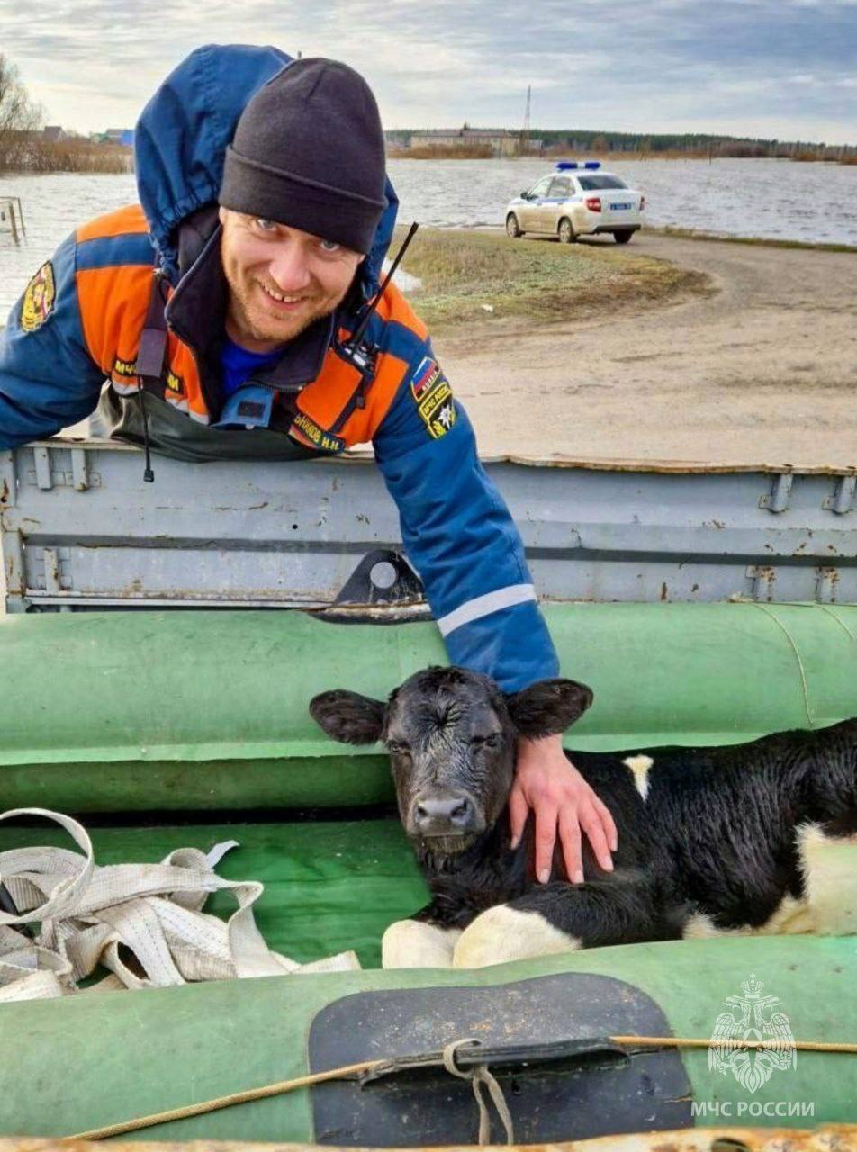 Вода полилась в дом: в Кургане спасатели вызволили из подтопления  новорожденного Мальчика