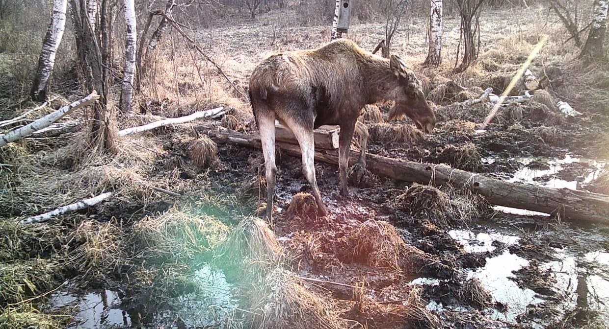 Диван 2 в одном