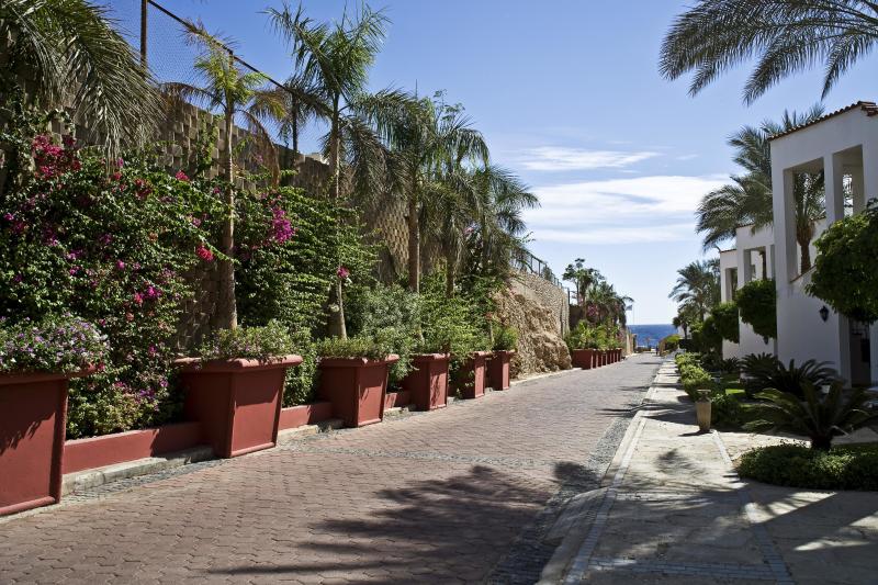 Чемодан, вокзал, Россия: У русских в Египте отобрали квартиры. Жизнь людей исковеркала смерть бизнесмена