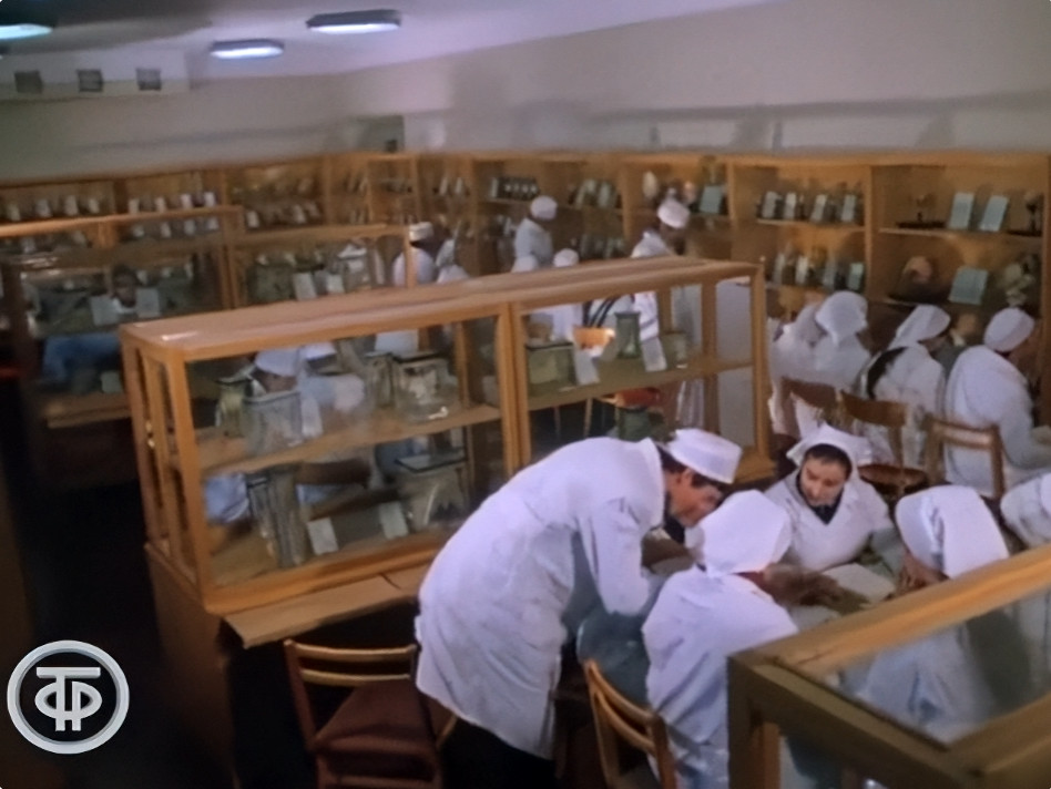 Самые страшные эпидемии в истории СССР: Умерли миллионы. Говорить правду запрещали и врачам, и выжившим