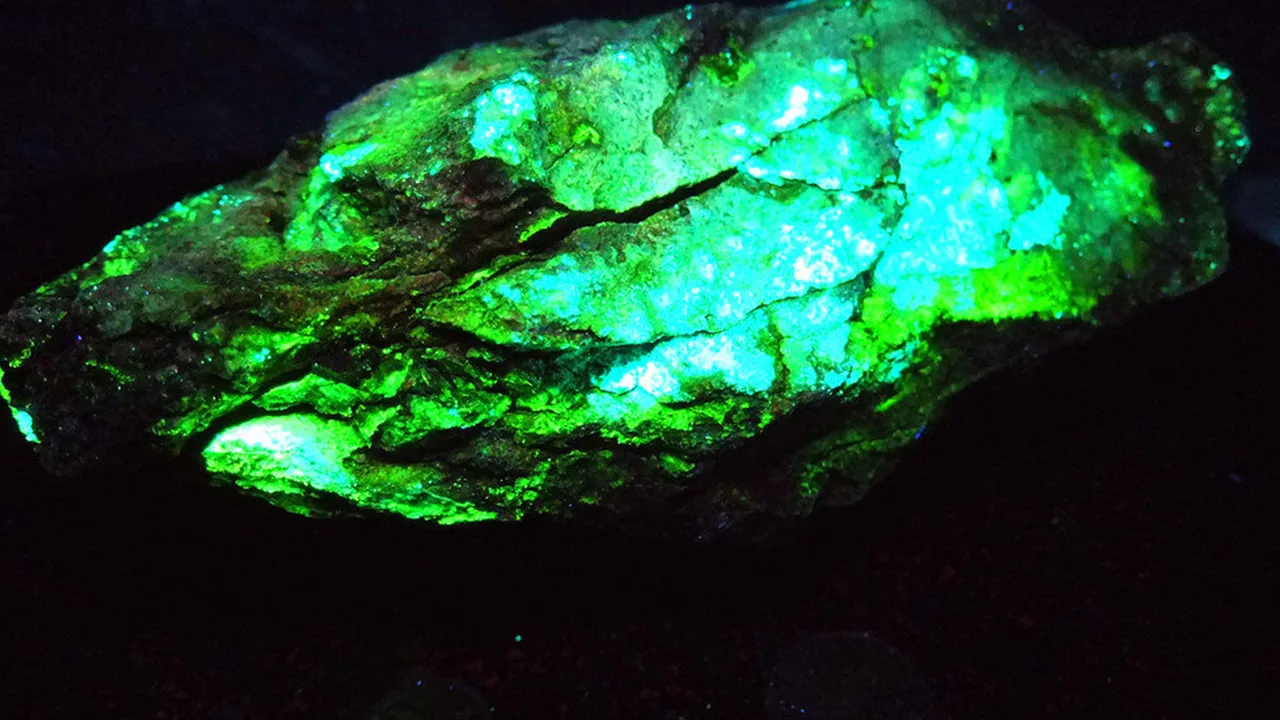 Франция отправит в Россию необычный груз. Впервые за три года