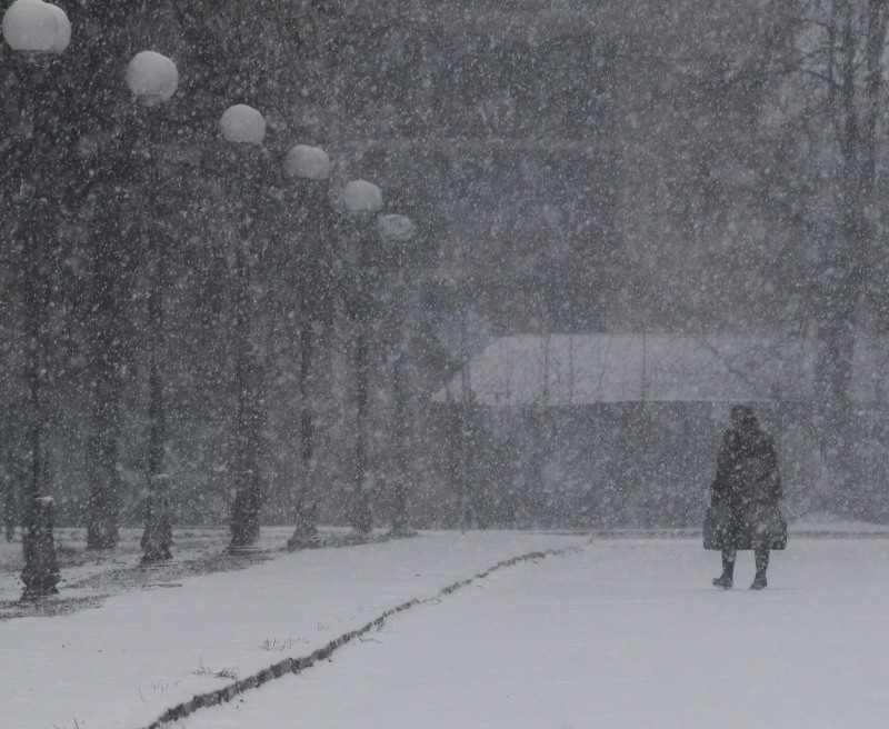 "Такой зимы не было 250 лет". Синоптики прогнозируют лютые морозы, бури, сугробы по пояс