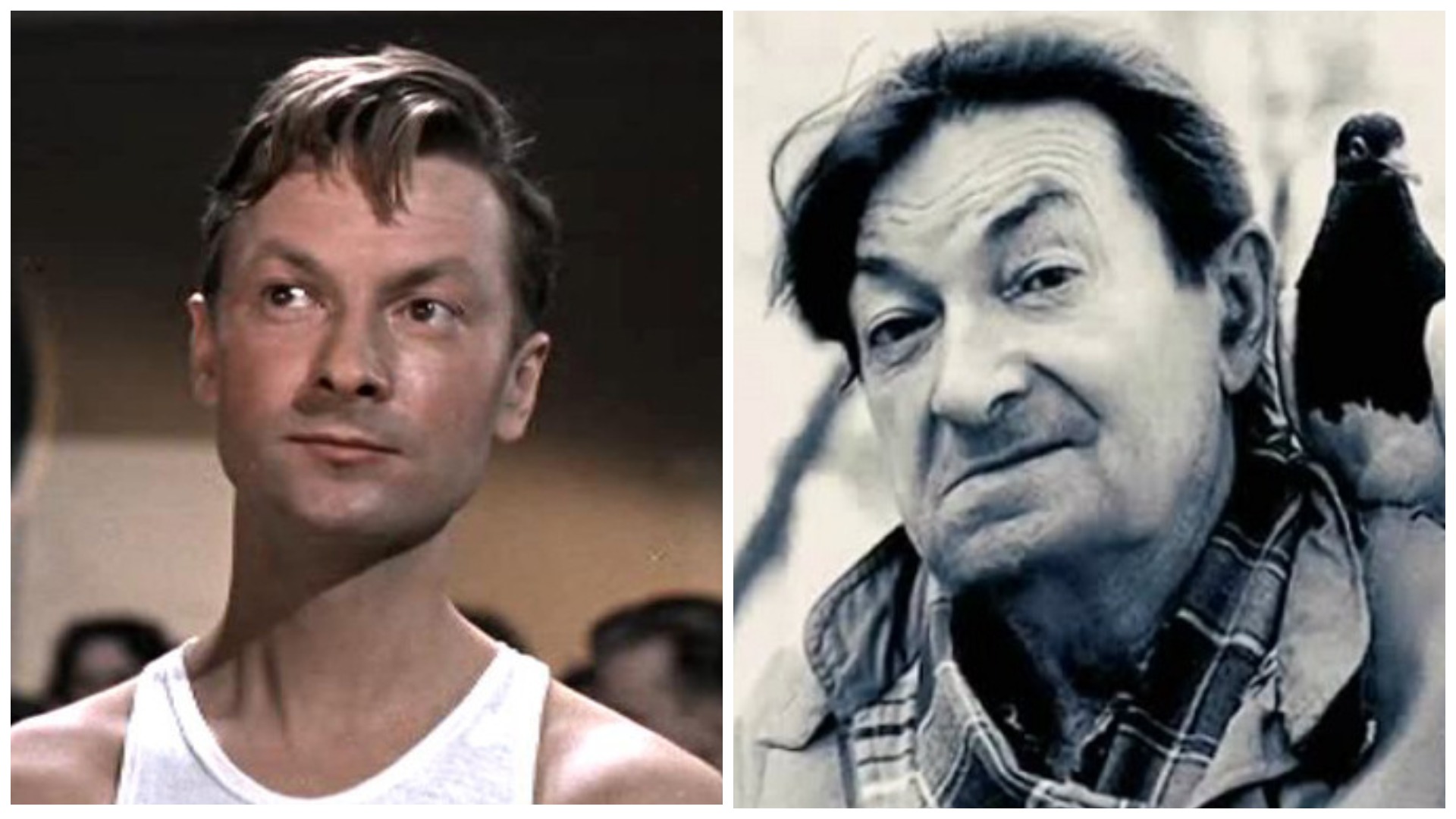 Как изменились герои "Джентльменов удачи" с момента выхода фильма и что с ними стало: Роковые роли, смерть от тоски и подачки от соседей