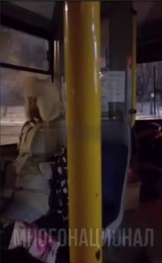 "Примерный семьянин" из Чечни наказан во Владивостоке